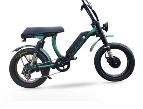 Hot sale dual motor electric fat tire bike