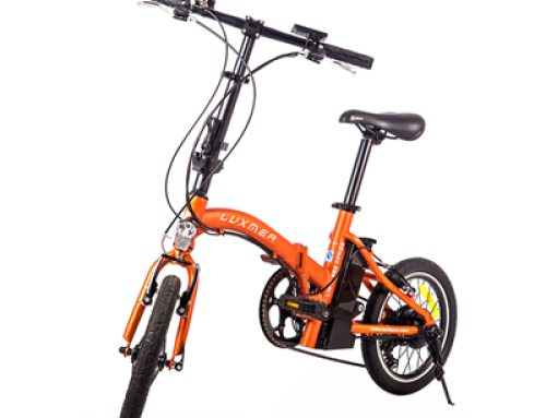 Factory sale price mini electric bike